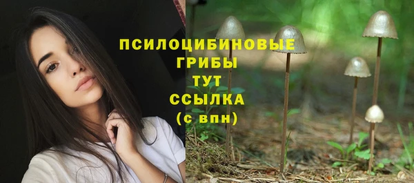 гидра Долгопрудный