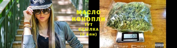 гидра Долгопрудный