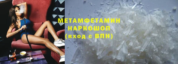 гидра Долгопрудный