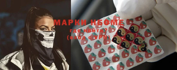 гидра Долгопрудный