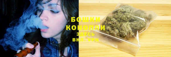 гидра Долгопрудный