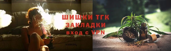 гидра Долгопрудный