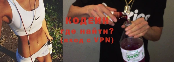 гидра Долгопрудный