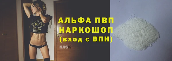 гидра Долгопрудный