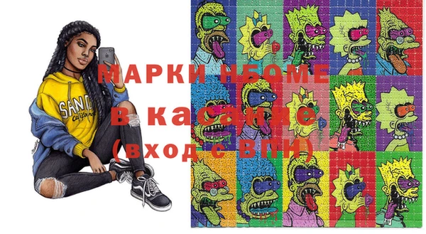 гидра Долгопрудный