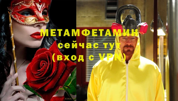 гидра Долгопрудный