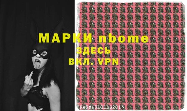 гидра Долгопрудный