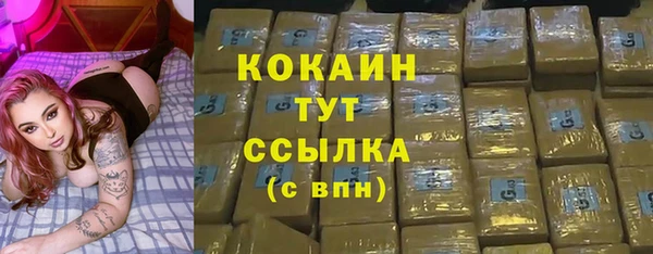 гидра Долгопрудный