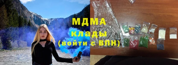 гидра Долгопрудный