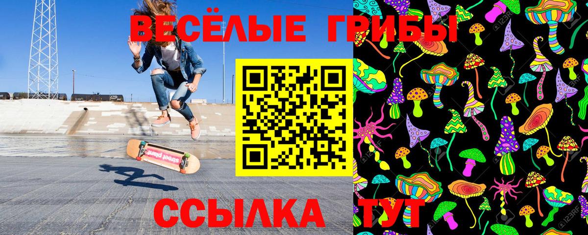 Галлюциногенные грибы Cubensis  наркошоп  Амурск 