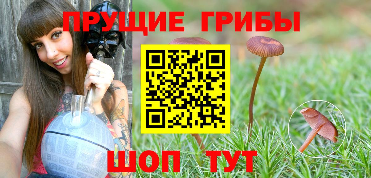 Галлюциногенные грибы Cubensis  как найти   Галлюциногенные грибы мухоморы  Амурск  Вход с VPN 